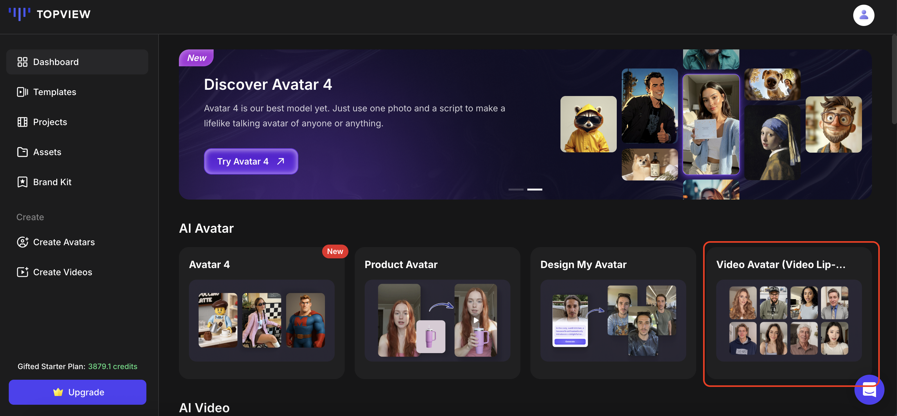 Video Avatar Interface