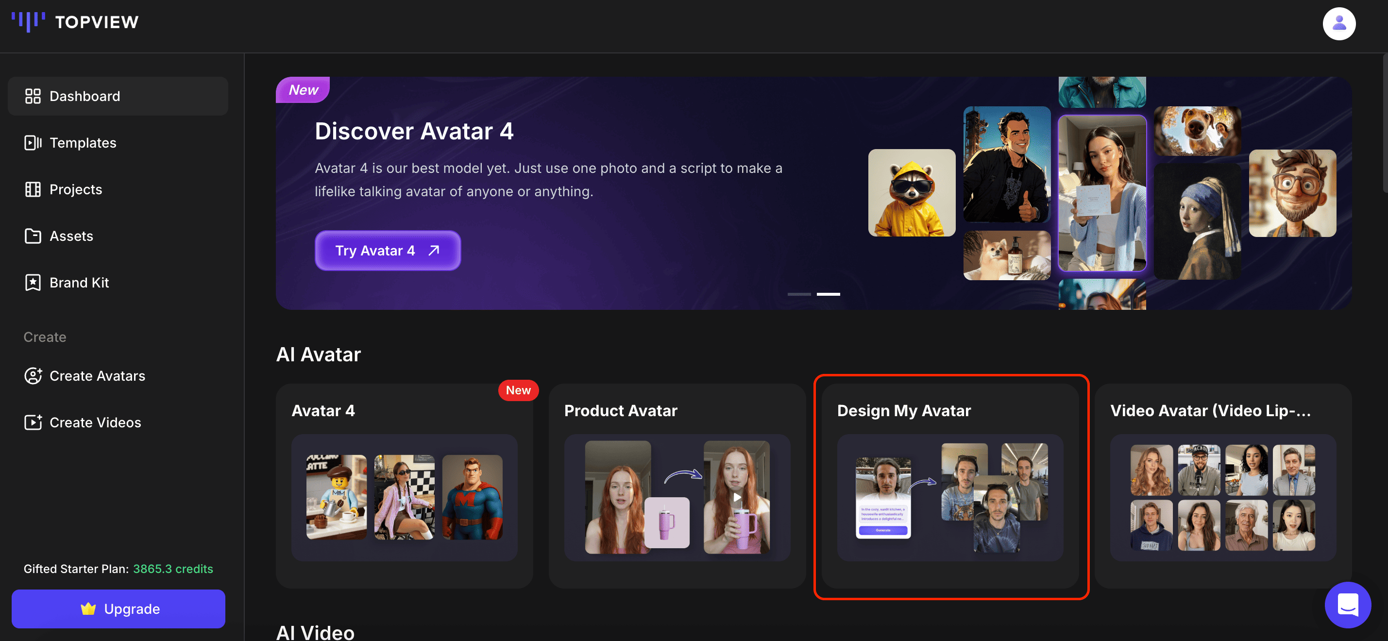 Design My Avatar Interface