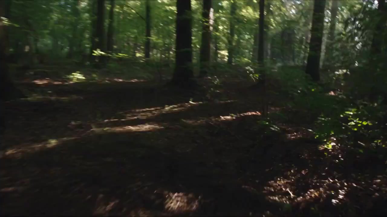 Ultra-Realistic Bigfoot Found Footage Sighting